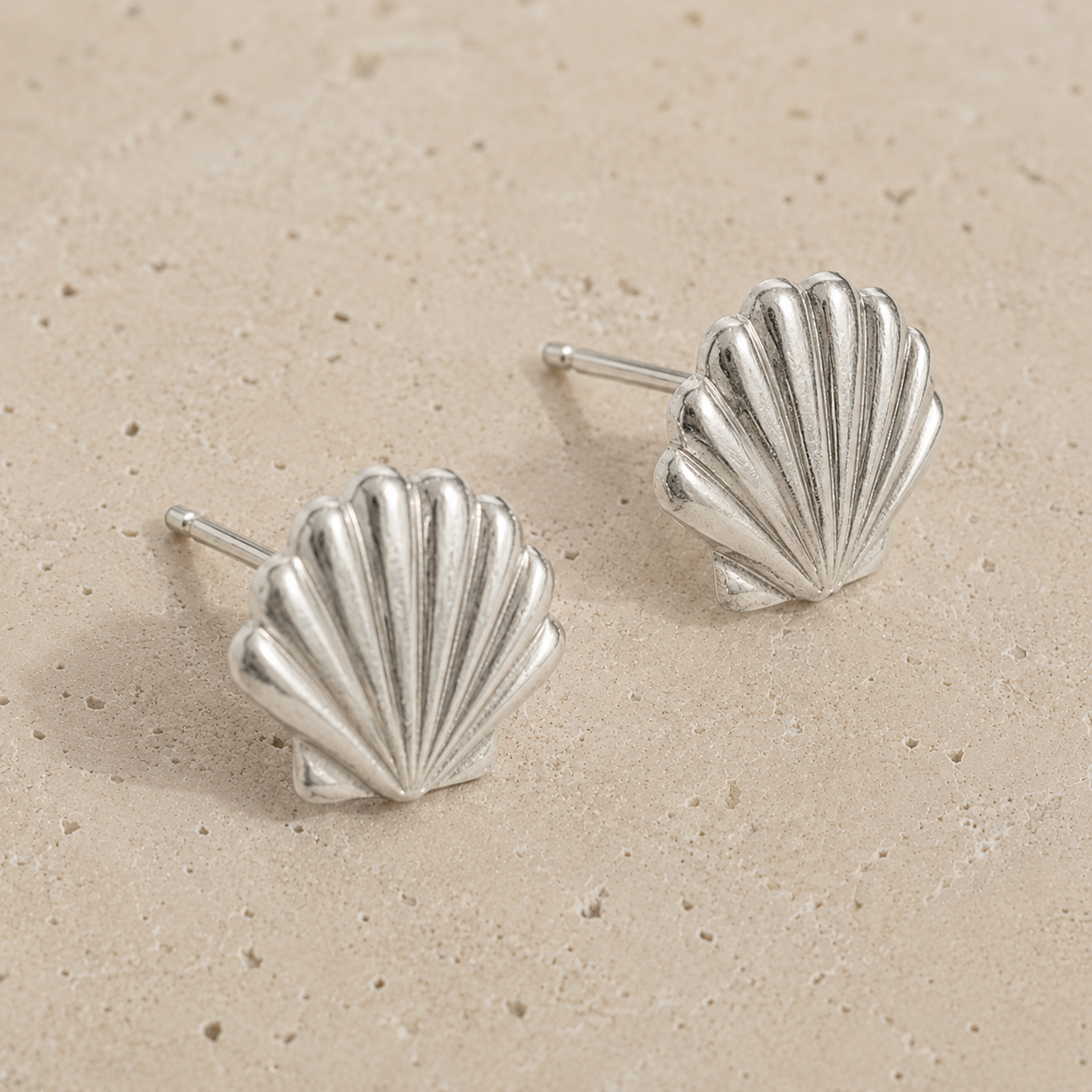 Seashell Studs
