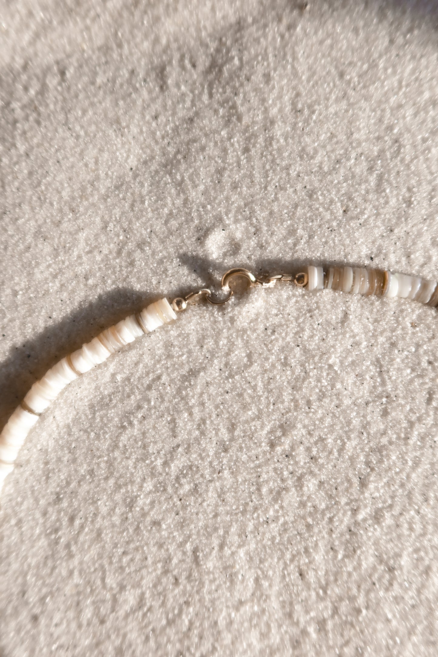 Beachcomber Nautilus Coin Necklace