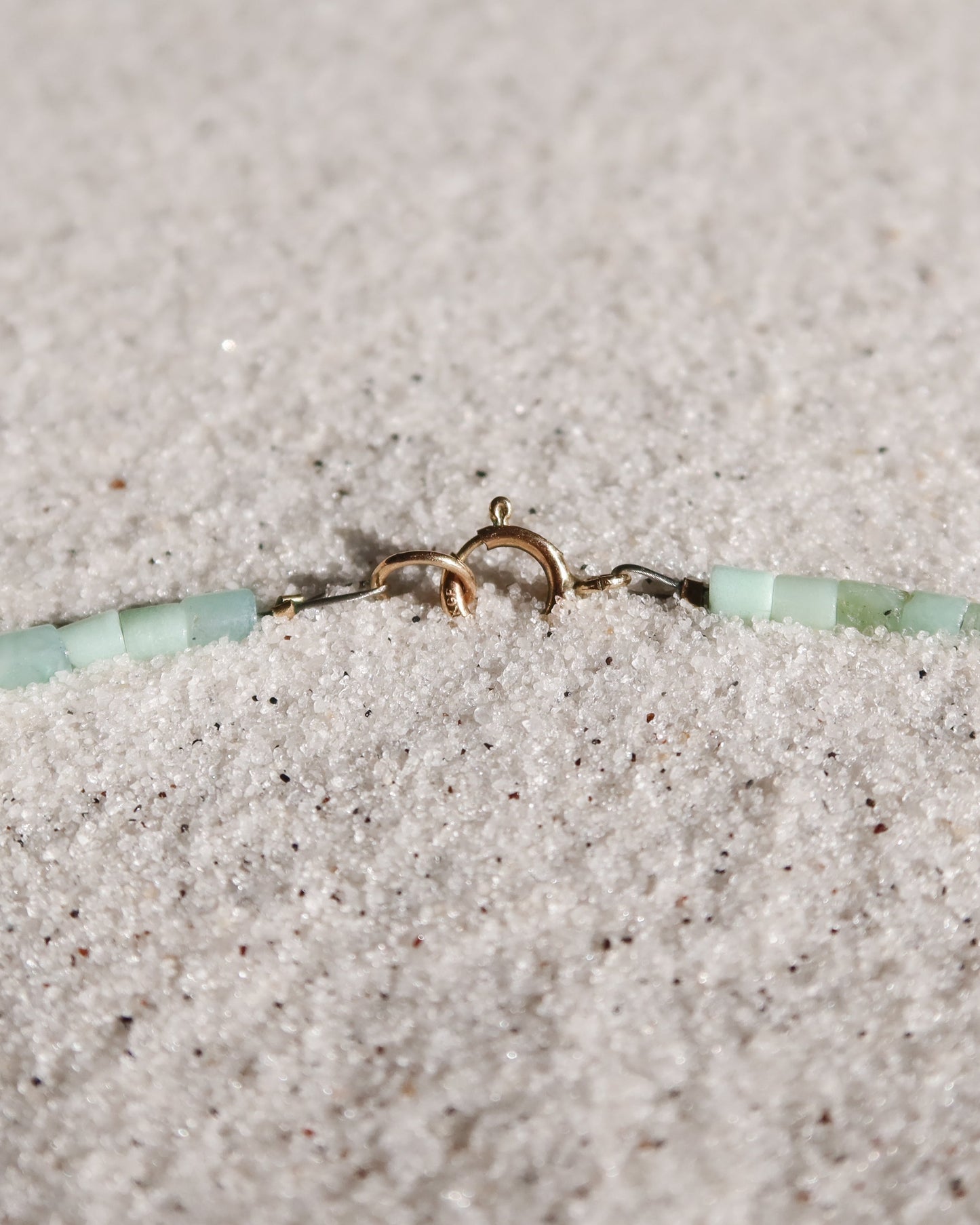 Seafoam Tulip Shell Necklace