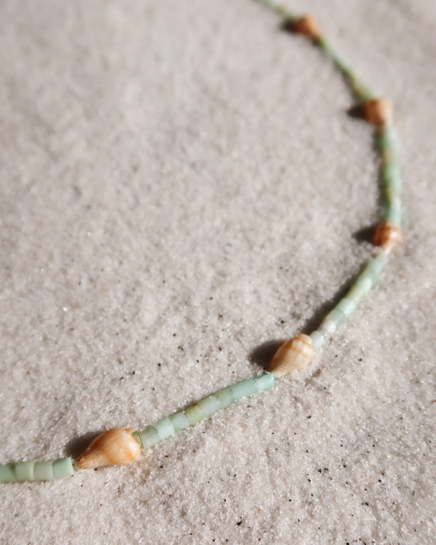 Seafoam Tulip Shell Necklace