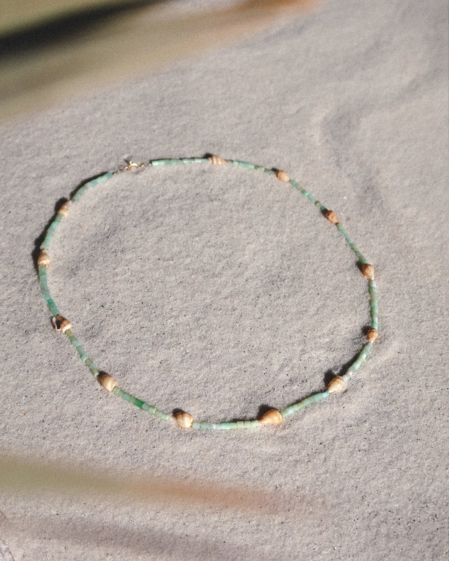 Seafoam Tulip Shell Necklace