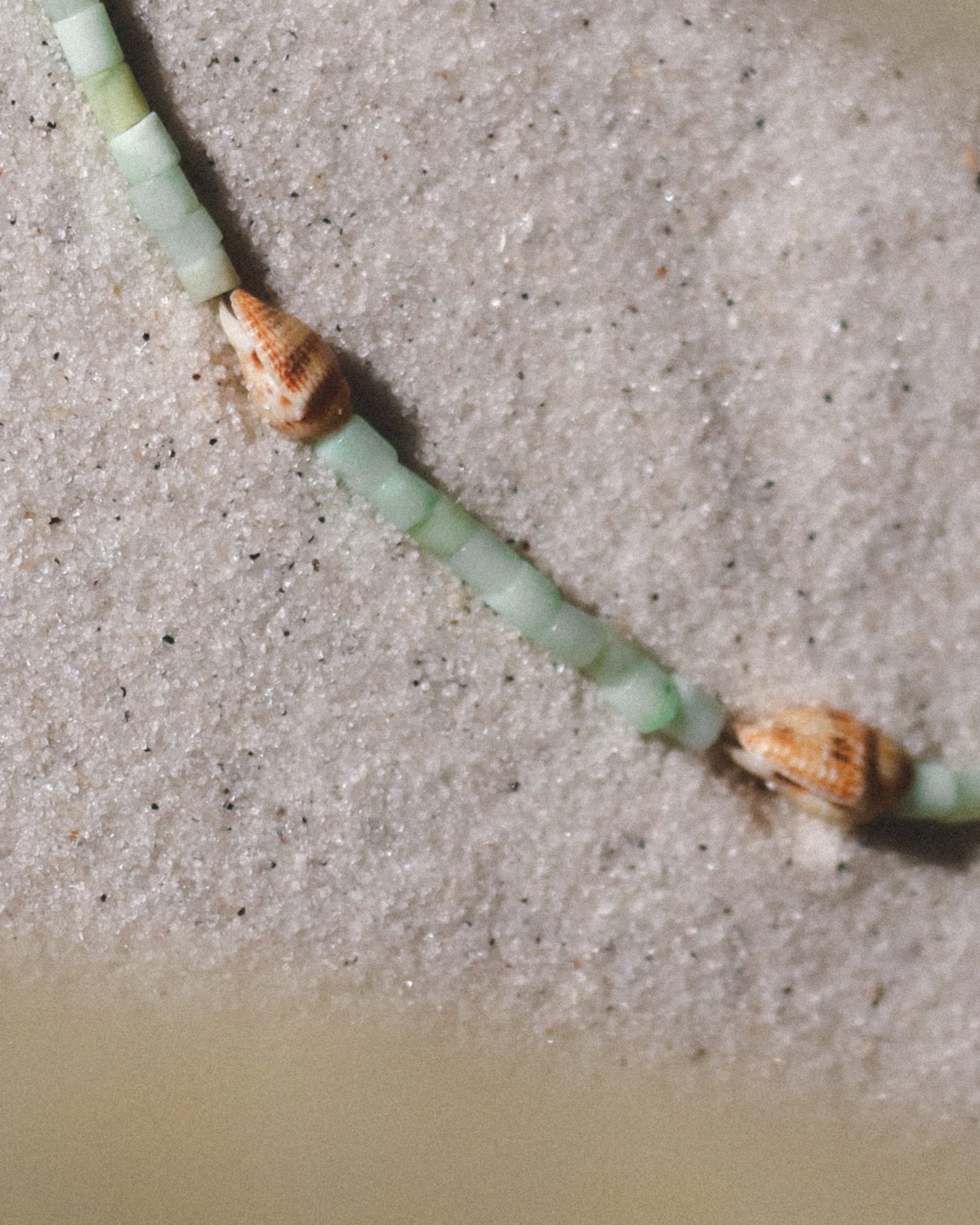 Seafoam Tulip Shell Necklace