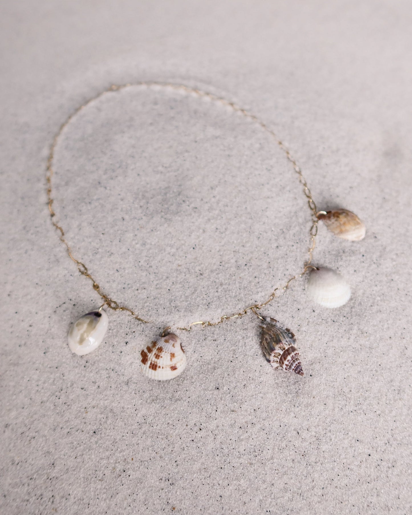 She Sells Seashells Charm Necklace