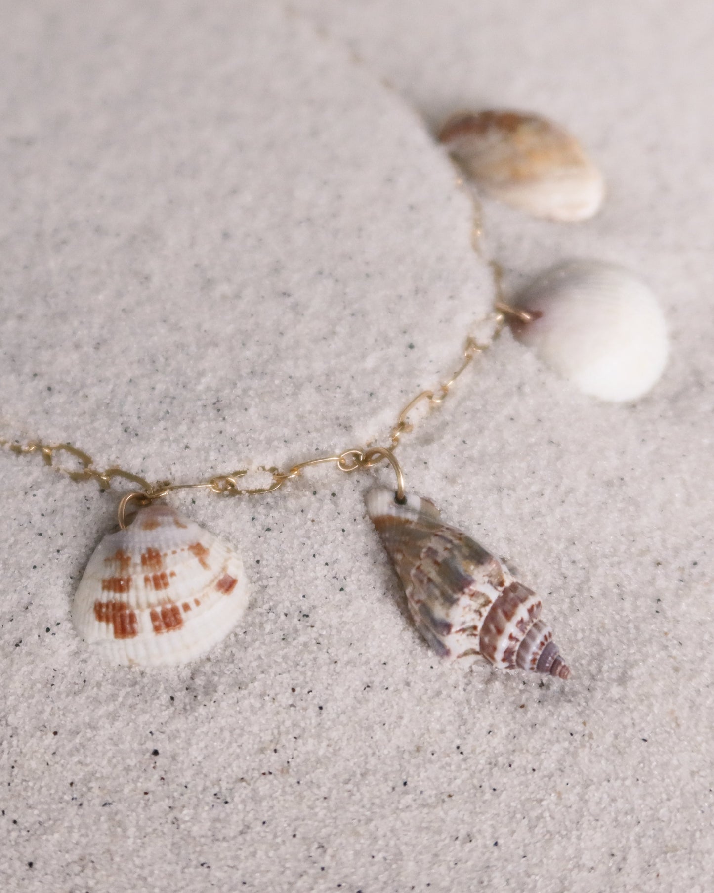 She Sells Seashells Charm Necklace