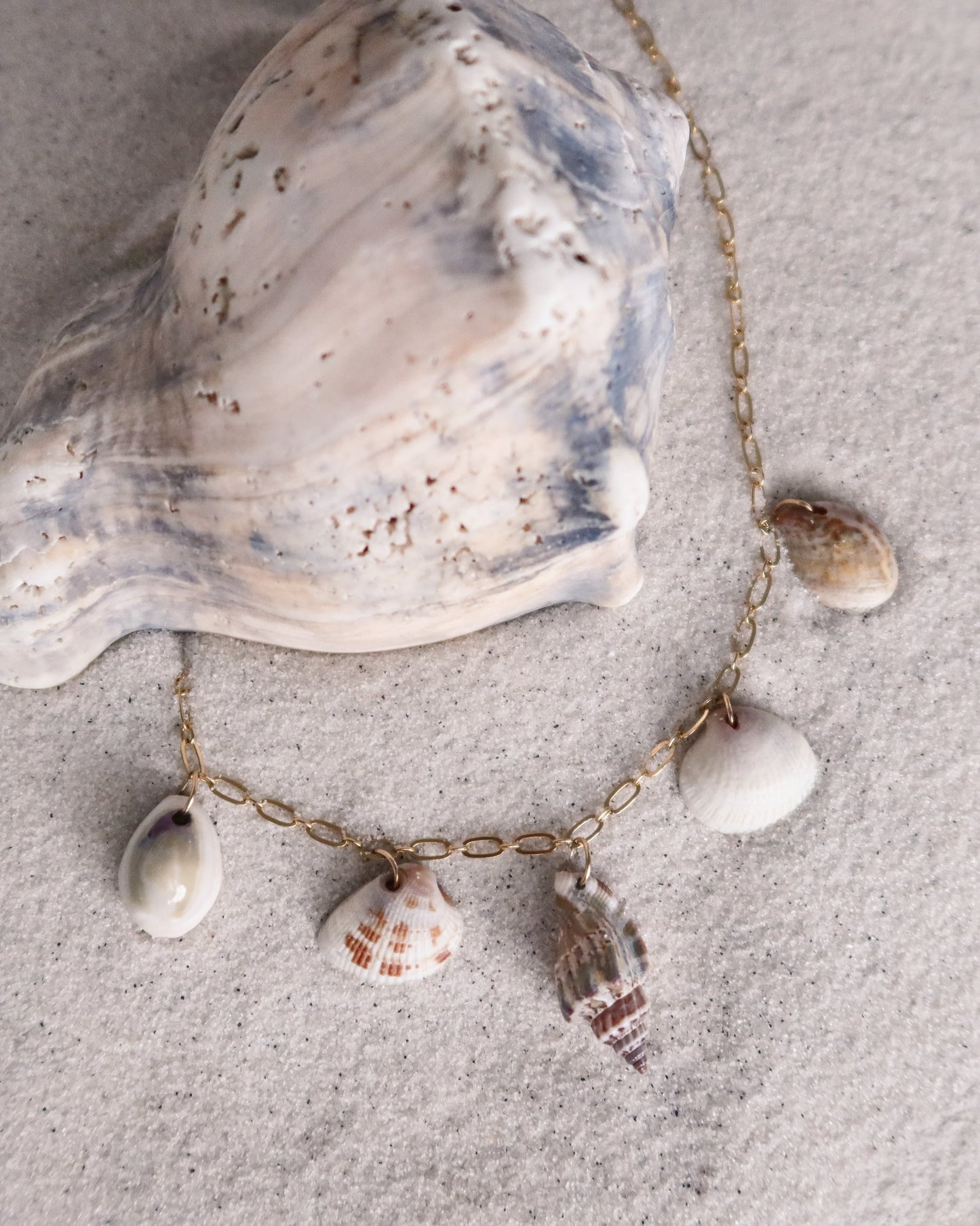 She Sells Seashells Charm Necklace