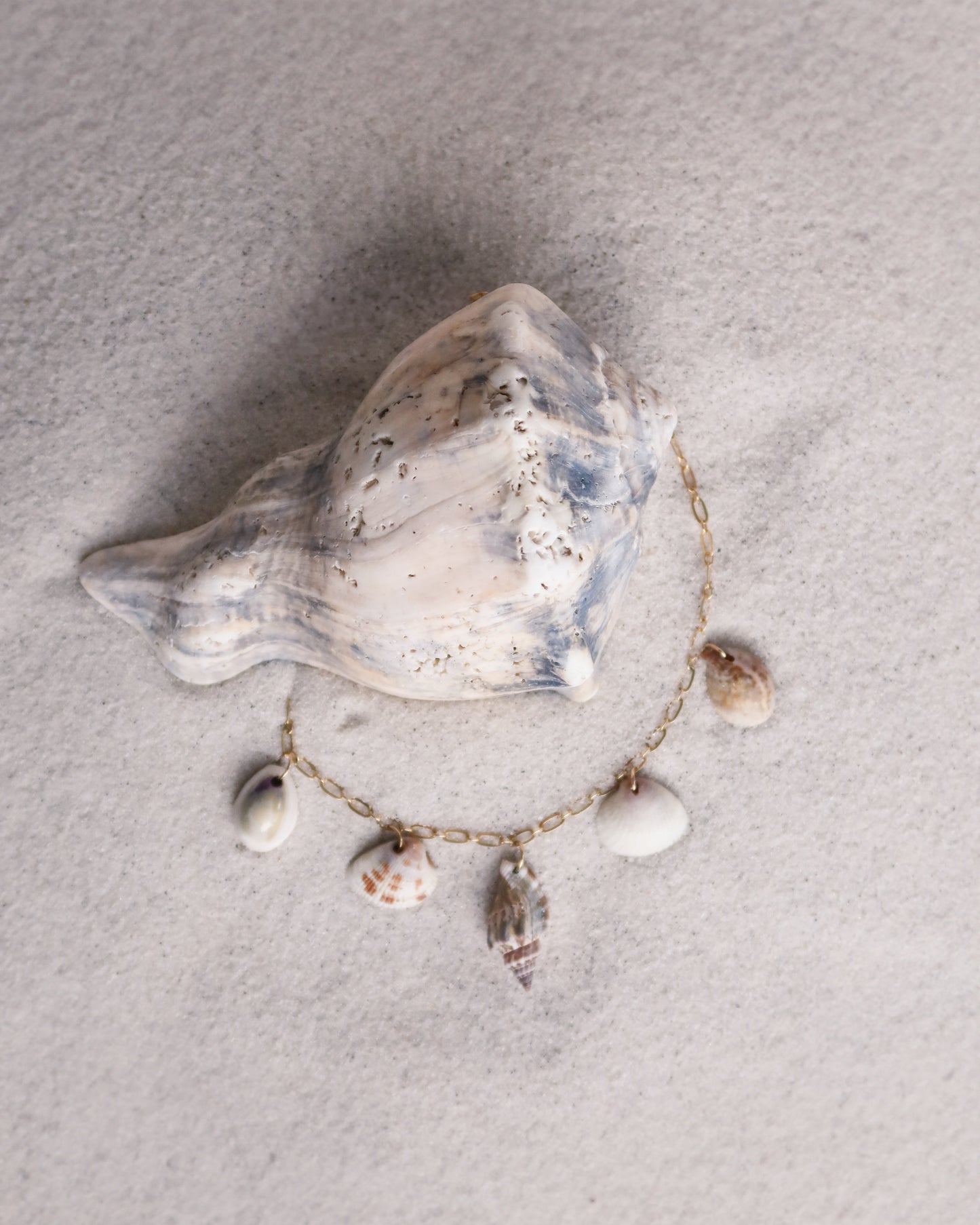 She Sells Seashells Charm Necklace