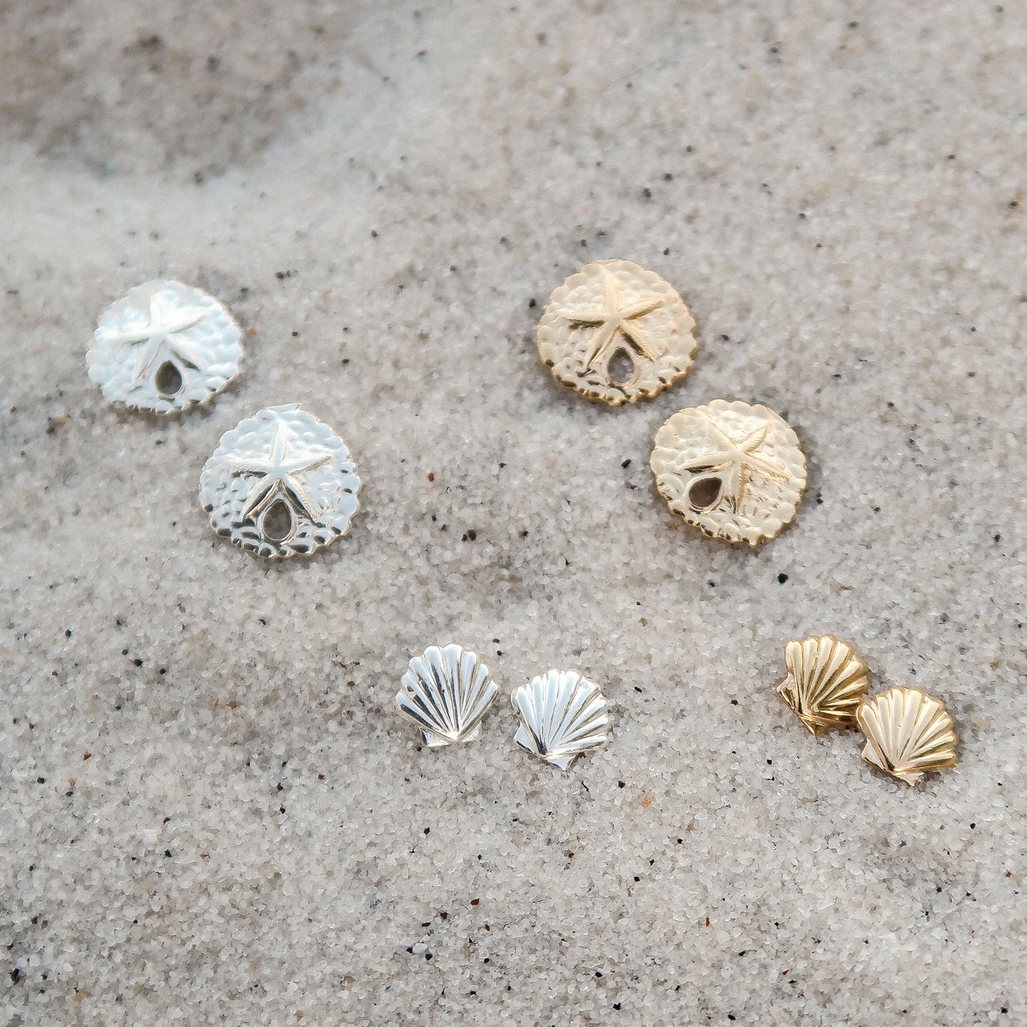 Seashell Studs