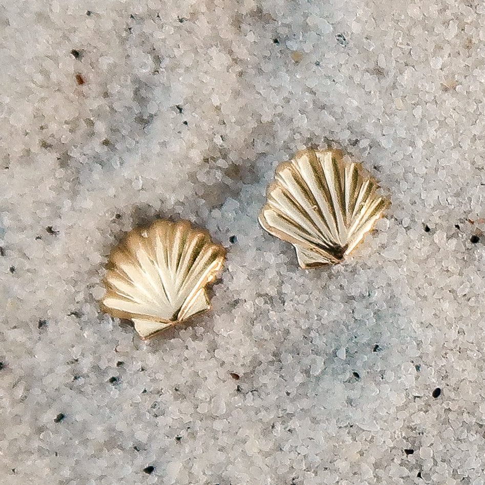 Seashell Studs