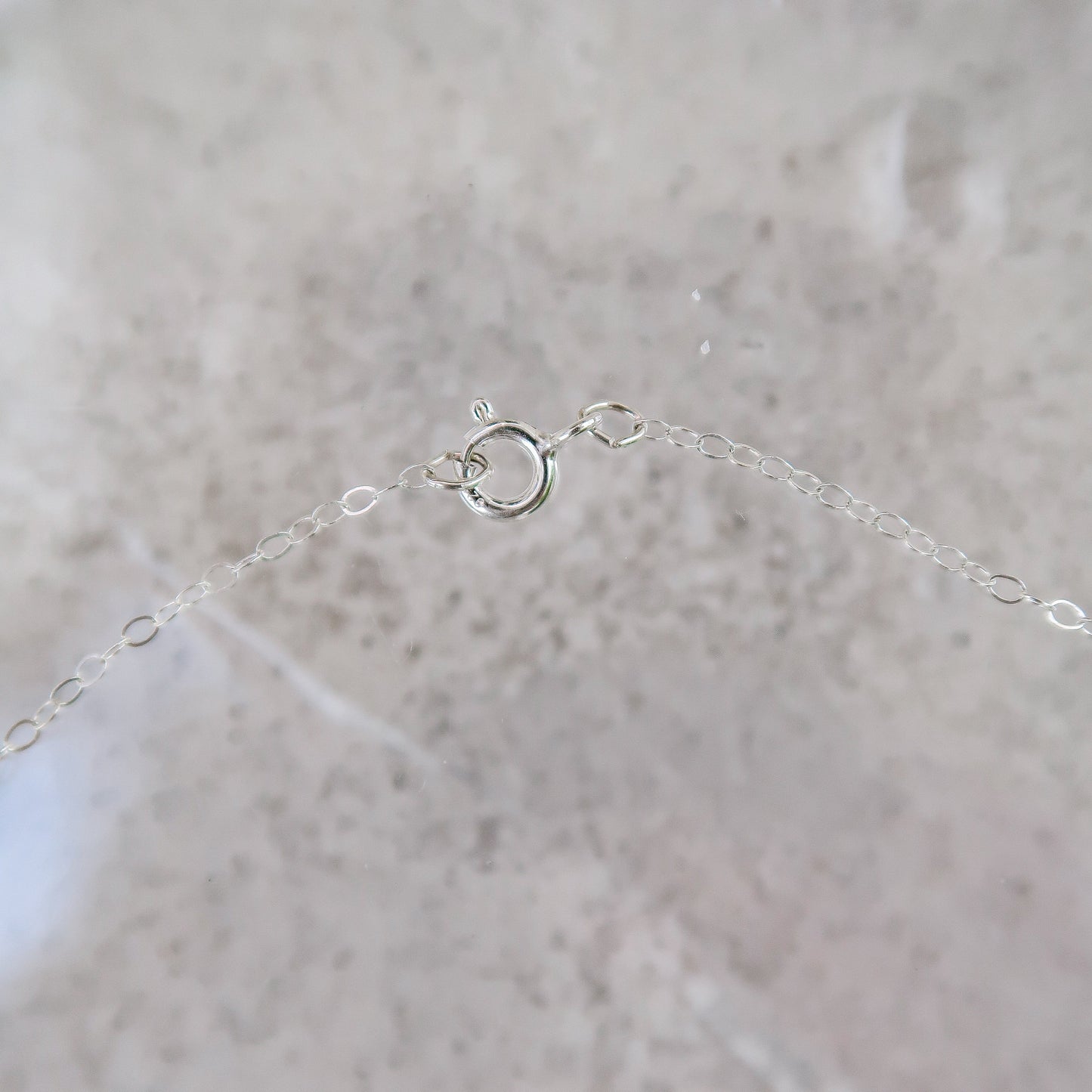 Essenshell Charm Necklace - Silver