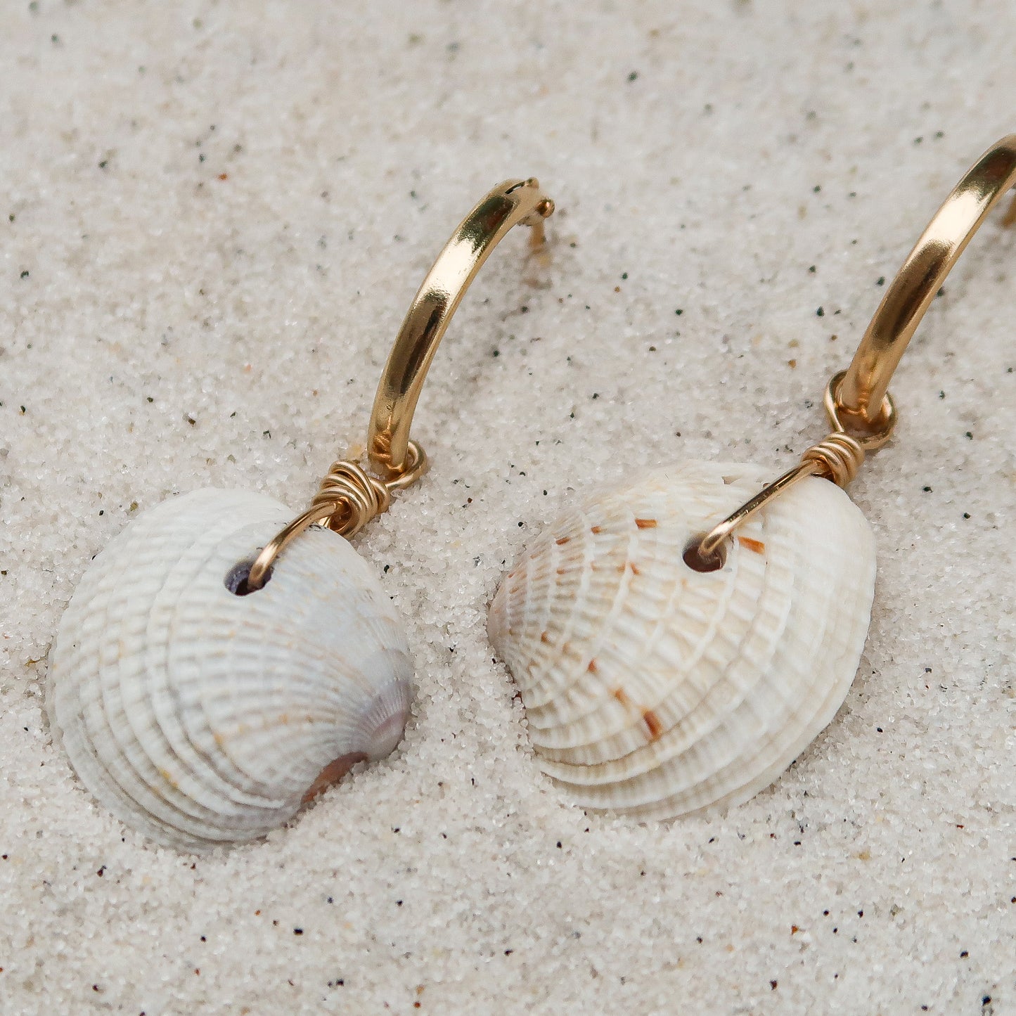 Cortez Shell Earring