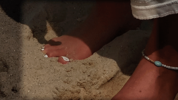 Seashell Summer