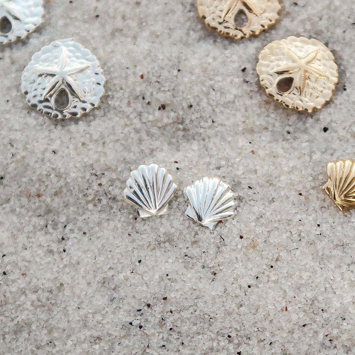 Seashell Studs