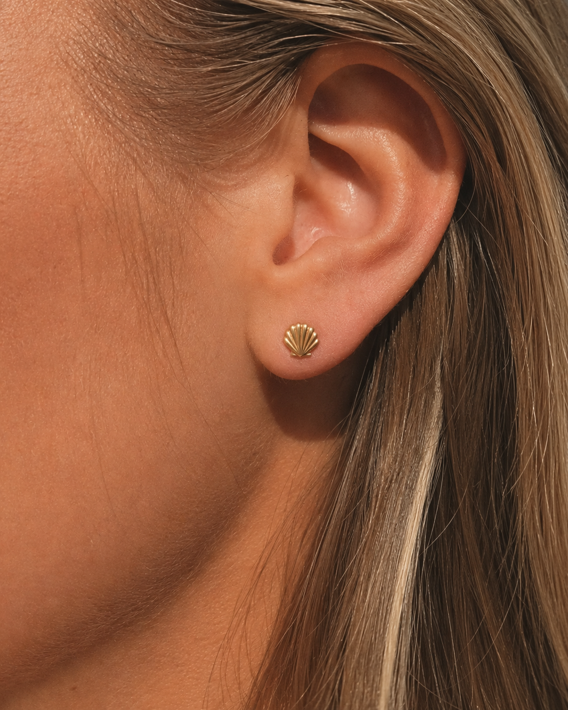 Seashell Studs