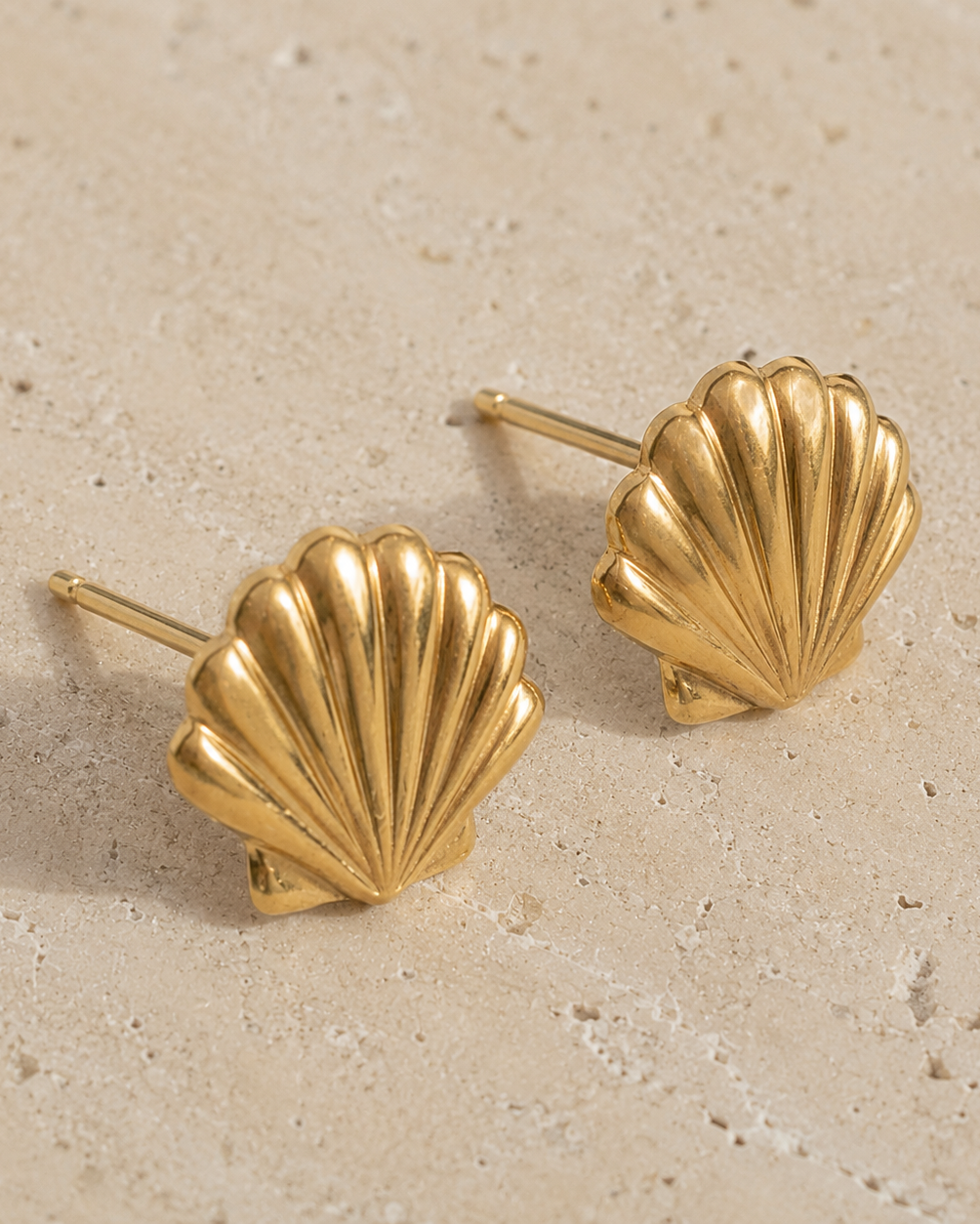 Seashell Studs