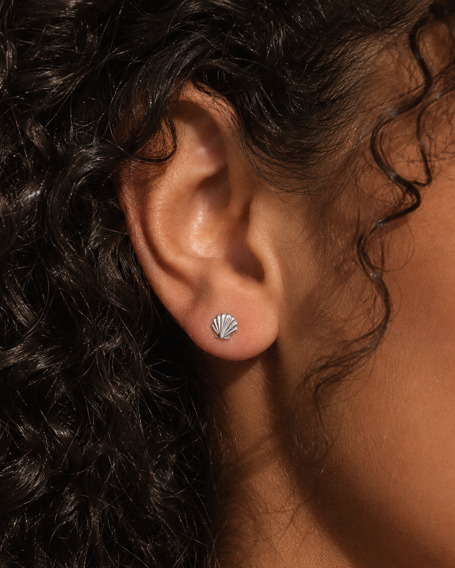 Seashell Studs