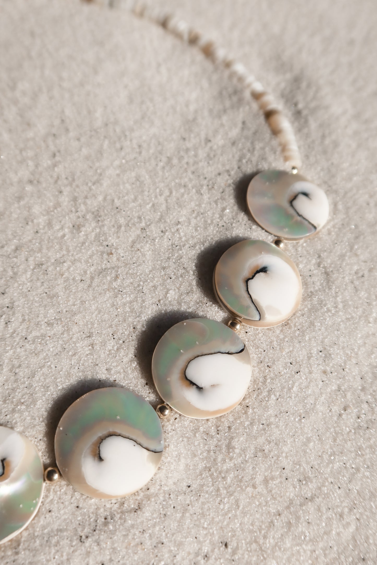 Beachcomber Nautilus Coin Necklace
