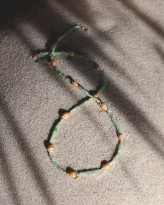 Seafoam Tulip Shell Necklace