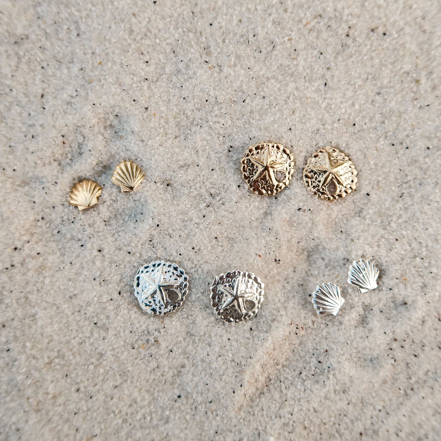 Sand Dollar Studs