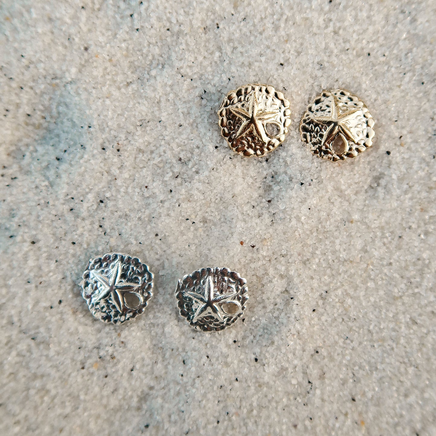 Sand Dollar Studs