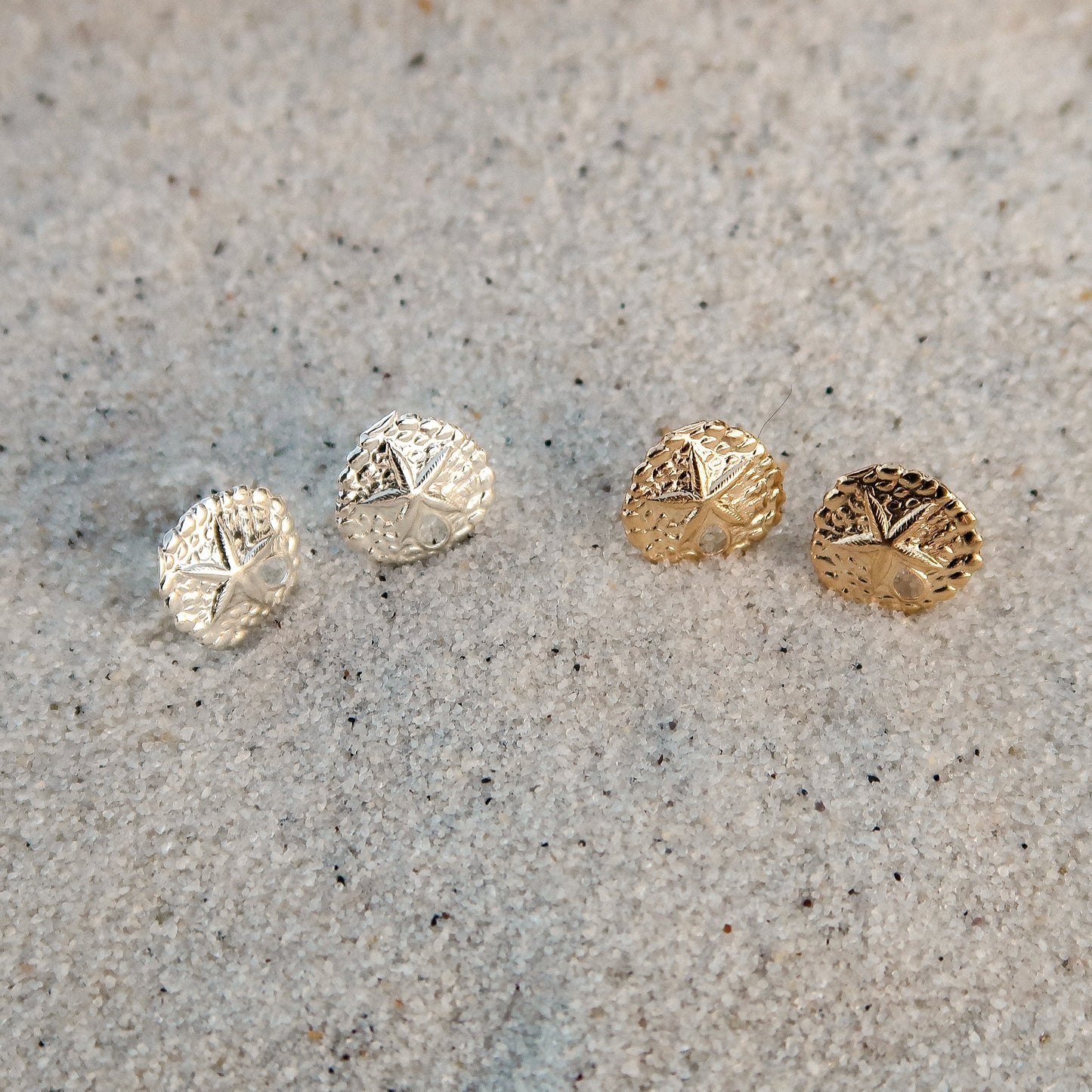 Sand Dollar Studs