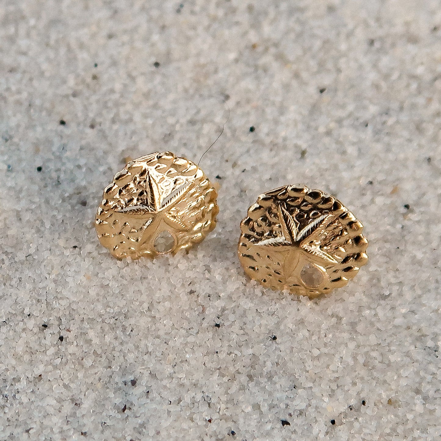 Sand Dollar Studs