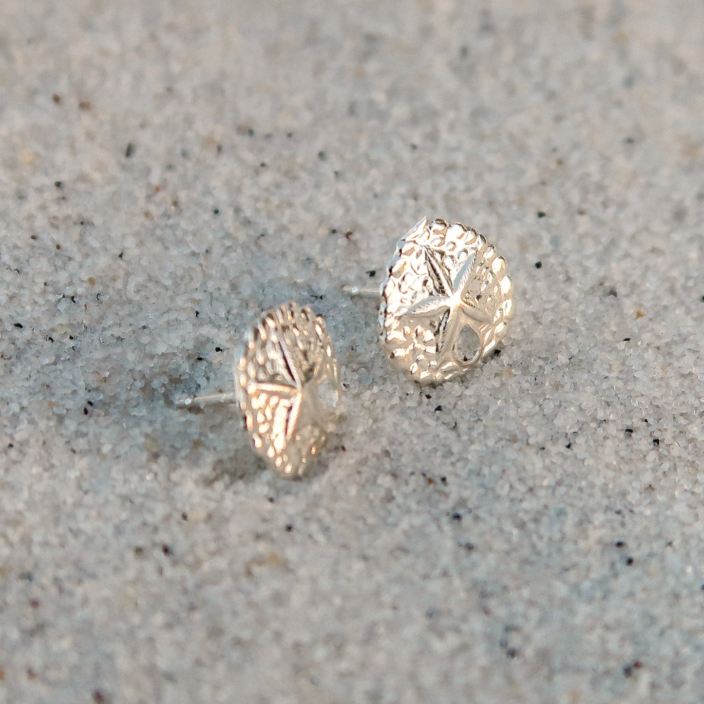 Sand Dollar Studs